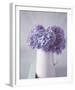 Hydrangea Dream-Bill Philip-Framed Giclee Print