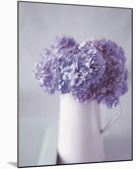 Hydrangea Dream-Bill Philip-Mounted Giclee Print