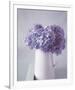 Hydrangea Dream-Bill Philip-Framed Giclee Print