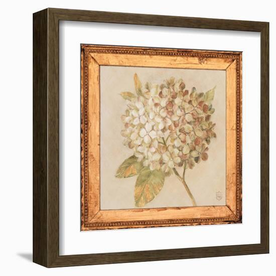 Hydrangea Floret Detail-Lauren Hamilton-Framed Art Print