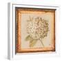 Hydrangea Floret Detail-Lauren Hamilton-Framed Art Print