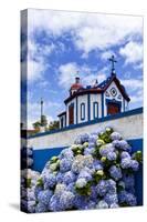 Hydrangea Flowers in Front of the Chapel on Top of Monte Santo at Agua De Pau, Sao Miguel Island, A-foodbytes-Stretched Canvas