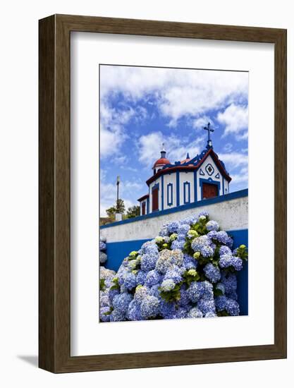 Hydrangea Flowers in Front of the Chapel on Top of Monte Santo at Agua De Pau, Sao Miguel Island, A-foodbytes-Framed Photographic Print