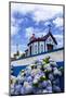 Hydrangea Flowers in Front of the Chapel on Top of Monte Santo at Agua De Pau, Sao Miguel Island, A-foodbytes-Mounted Photographic Print