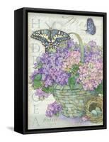 Hydrangea Folio-Julie Paton-Framed Stretched Canvas