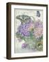 Hydrangea Folio-Julie Paton-Framed Art Print