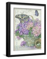 Hydrangea Folio-Julie Paton-Framed Art Print