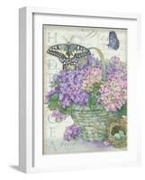 Hydrangea Folio-Julie Paton-Framed Art Print