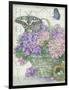 Hydrangea Folio-Julie Paton-Framed Art Print