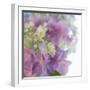 Hydrangea Haze I-Linda Wood-Framed Giclee Print