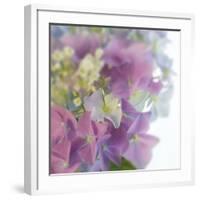 Hydrangea Haze I-Linda Wood-Framed Giclee Print