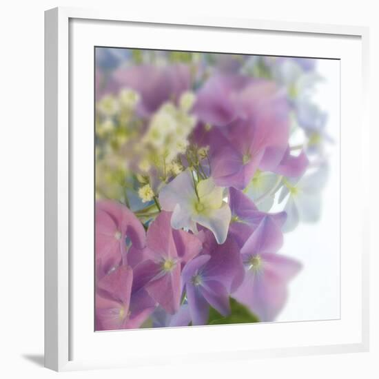 Hydrangea Haze I-Linda Wood-Framed Giclee Print