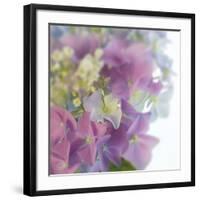 Hydrangea Haze I-Linda Wood-Framed Giclee Print