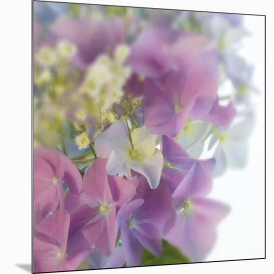 Hydrangea Haze I-Linda Wood-Mounted Giclee Print