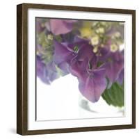 Hydrangea Haze II-Linda Wood-Framed Giclee Print