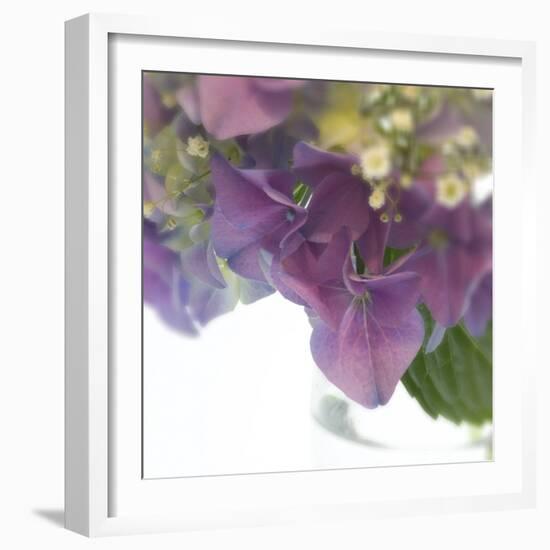 Hydrangea Haze II-Linda Wood-Framed Giclee Print