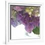 Hydrangea Haze II-Linda Wood-Framed Giclee Print