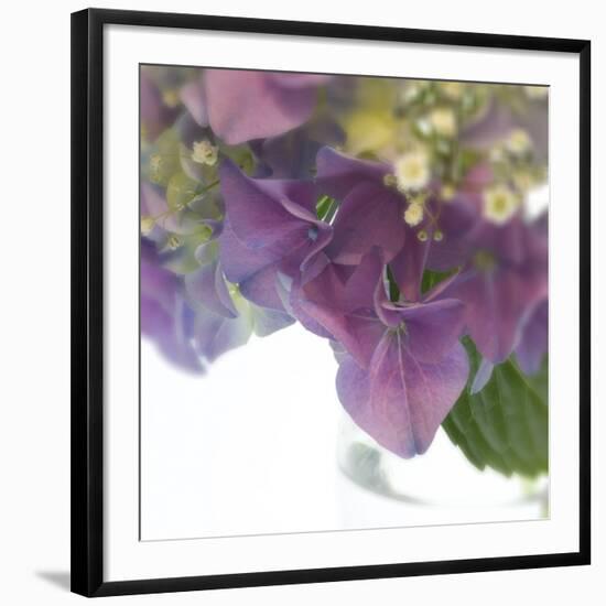 Hydrangea Haze II-Linda Wood-Framed Giclee Print