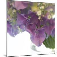 Hydrangea Haze II-Linda Wood-Mounted Giclee Print