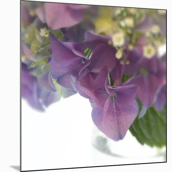 Hydrangea Haze II-Linda Wood-Mounted Giclee Print