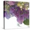 Hydrangea Haze II-Linda Wood-Stretched Canvas