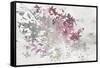 Hydrangea II-Allison Pearce-Framed Stretched Canvas