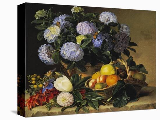 Hydrangea in an Urn and a Basket of Fruit on a Ledge-Johan Laurentz Jensen-Stretched Canvas