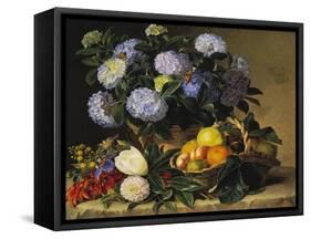 Hydrangea in an Urn and a Basket of Fruit on a Ledge-Johan Laurentz Jensen-Framed Stretched Canvas