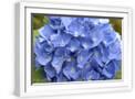 White Frame