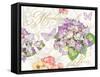 Hydrangea Mademoiselle-Julie Paton-Framed Stretched Canvas