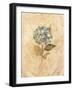 Hydrangea on Cracked Linen-Cheri Blum-Framed Art Print