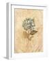 Hydrangea on Cracked Linen-Cheri Blum-Framed Art Print