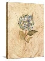 Hydrangea on Cracked Linen-Cheri Blum-Stretched Canvas