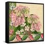 Hydrangea on Love Letters-Piddix-Framed Stretched Canvas