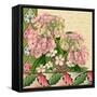 Hydrangea on Love Letters-Piddix-Framed Stretched Canvas