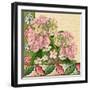 Hydrangea on Love Letters-Piddix-Framed Art Print