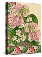 Hydrangea on Love Letters-Piddix-Stretched Canvas