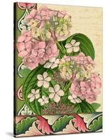 Hydrangea on Love Letters-Piddix-Stretched Canvas