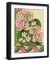 Hydrangea on Love Letters-Piddix-Framed Art Print