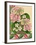 Hydrangea on Love Letters-Piddix-Framed Art Print