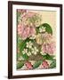 Hydrangea on Love Letters-Piddix-Framed Art Print