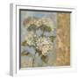 Hydrangea on Soft Blue-Silvia Vassileva-Framed Premium Giclee Print