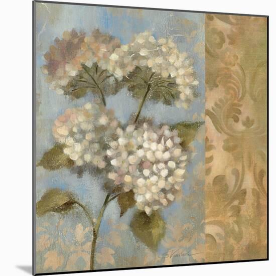 Hydrangea on Soft Blue-Silvia Vassileva-Mounted Premium Giclee Print