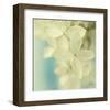 Hydrangea on Turquoise-Judy Stalus-Framed Art Print