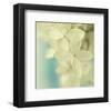 Hydrangea on Turquoise-Judy Stalus-Framed Art Print