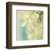 Hydrangea on Turquoise-Judy Stalus-Framed Art Print