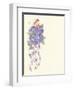 Hydrangea Overprint-unknown Tribou-Framed Art Print