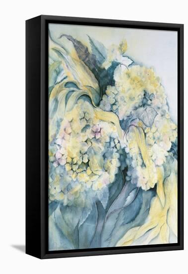 Hydrangea Particulata-Karen Armitage-Framed Stretched Canvas