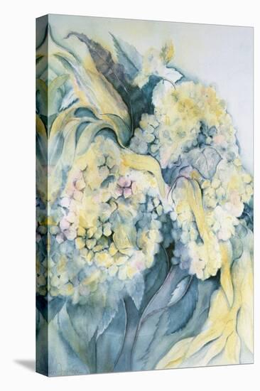 Hydrangea Particulata-Karen Armitage-Stretched Canvas