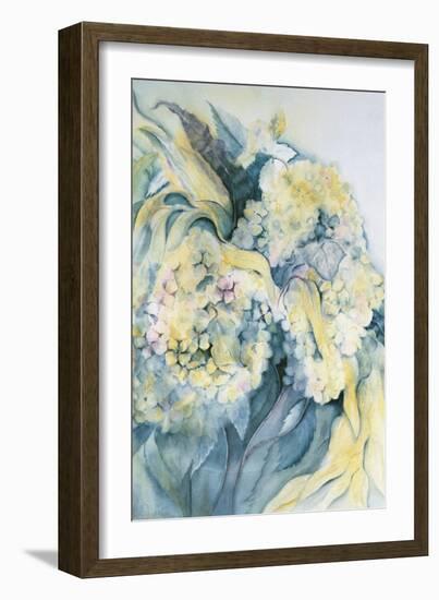 Hydrangea Particulata-Karen Armitage-Framed Giclee Print